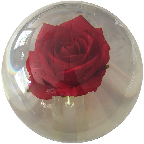 KR Clear Rose (Red)